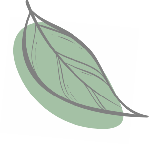 hoja new